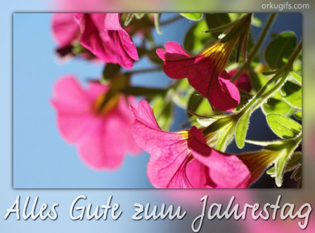 Jahrestag zum alles sprüche gute Alles Gute