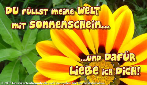 Du füllst meine Welt mit Sonnenschein und dafür liebe ich dich!