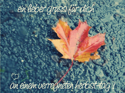 Ein lieber Gruß für dich an einem verregneten herbst-tag!