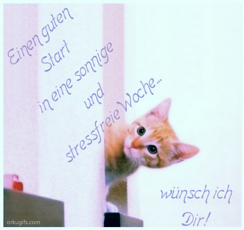 Die montag neue guten woche morgen in start guten Hallo aus