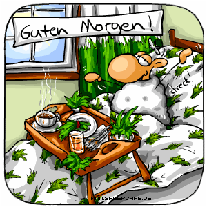 Guten Morgen!