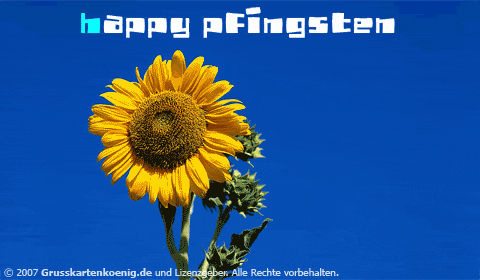 Happy Pfingsten!