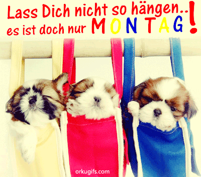 Lass Dich nicht so hängen... es ist doch nur Montag!