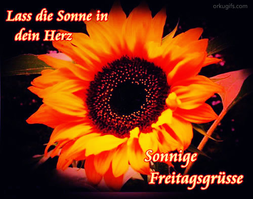 Lass die Sonne in dein Herz. Sonnige Freitagsgrüsse