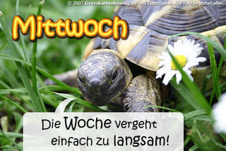 Mittwoch. Die Woche vergeht einfach zu langsam!