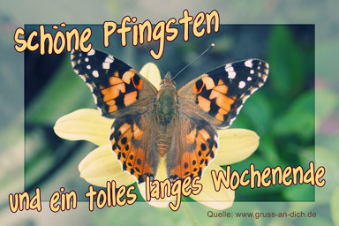 Schöne Pfingsten und ein tolles langes Wochenende