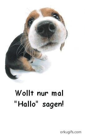 Wollt nur mal 'Hallo' sagen!