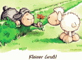 Bilder und Grafiken zu Grüße