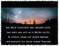 Bilder und Grafiken zu Gute Nacht