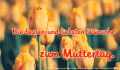 Bilder und Grafiken zu Muttertag