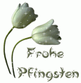 Bilder und Grafiken zu Pfingsten