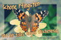 Bilder und Grafiken zu Pfingsten