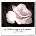 Bilder und Grafiken zu Sprüche