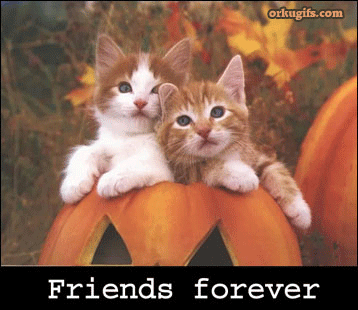 Friends Forever