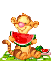 Baby Tigger eating watermelon