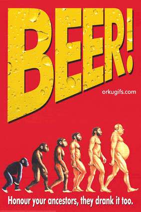 Beer Evolution