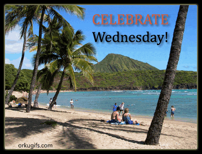 Celebrate Wednesday!