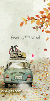 Free as the wind