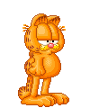 Garfield with tangled hair