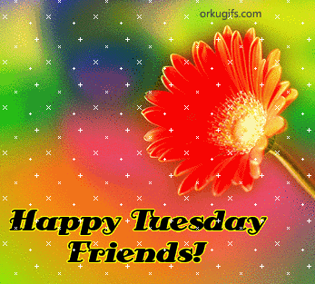 Happy Tuesday Friends!