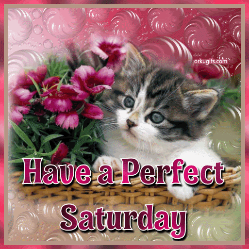 Have a perfect Saturday