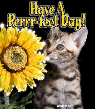 Have a perrrfect day!