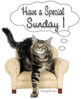 Have a Special Sunday!