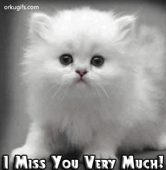 I Miss you very much!