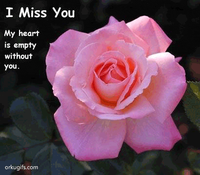 miss you heart. I miss you. My heart is empty