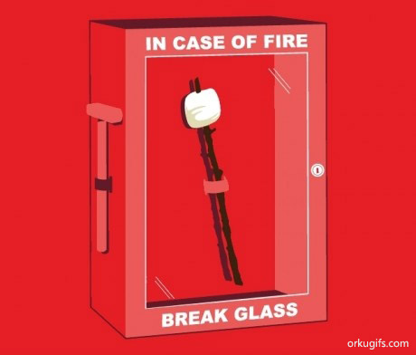 In case of fire break glass