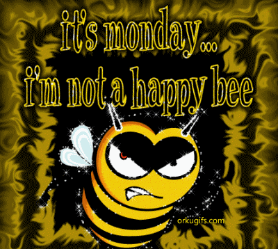 It's monday... I'm not happy bee