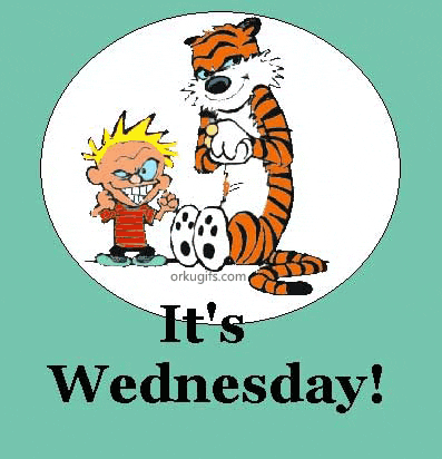 It's Wednesday!