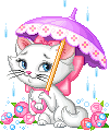Kitten Marie in rain