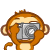Little monkey taking pictures