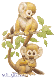 Little monkeys playing