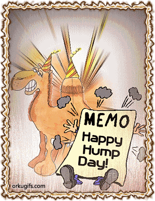 Memo: Happy Hump Day! - Images and gifs for social networks