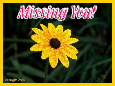 Missing you!