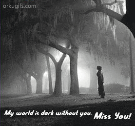 My world is dark without you. Miss you!