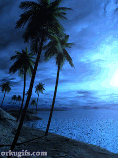 Nightfall by the beach