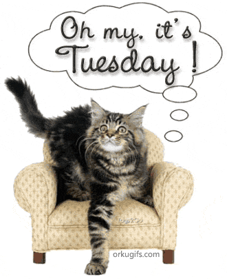 Oh My... It's Tuesday! - Images and gifs for social networks