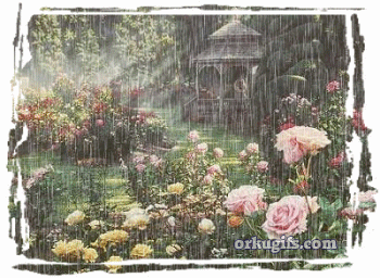 Raining on the garden