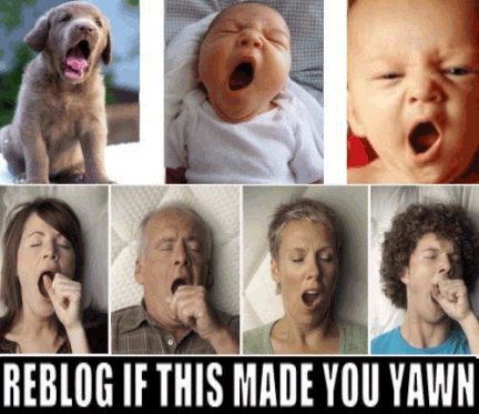 Reblog if this made you yawn