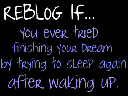 Reblog if you ever tried finishing your dream by trying to sleep again after waking up