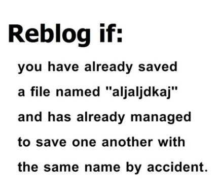Reblog if you have already saved 
a file named 'aljaljdkaj' 
and has already managed 
to save one another with 
the same name by accident.
