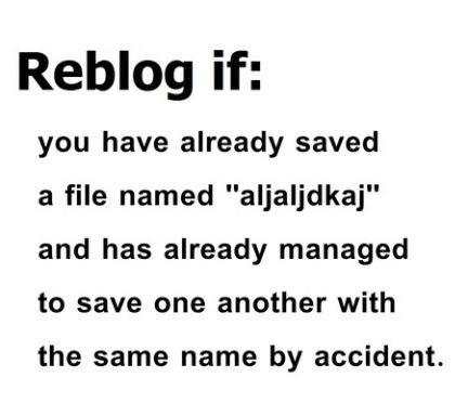 Reblog if you have already saved 
a file named 'aljaljdkaj' 
and has already managed 
to save one another with 
the same name by accident.