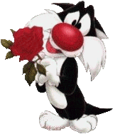 Sylvester holding a rose
