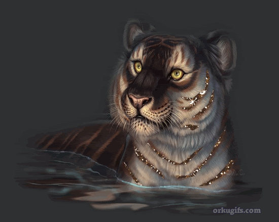 Tiger in the river