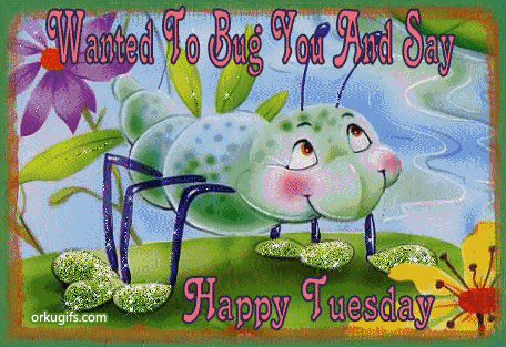 Wanted to bug you and say Happy Tuesday - Images and gifs for social networks