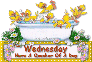 Wednesday: Have a Quacker of a day