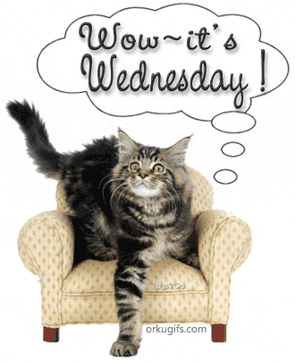 Wow. It's Wednesday!